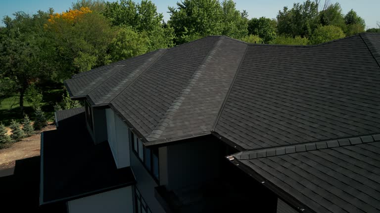 Professional Roofing service in Dillingham, AK