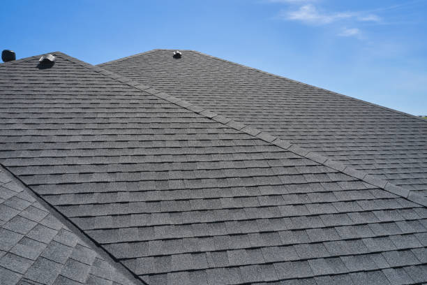 Best Roof Ventilation Installation  in Dillingham, AK